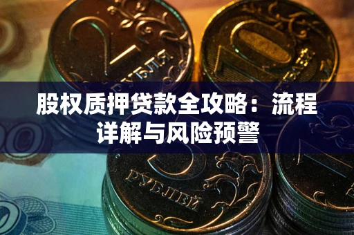 北京股权质押贷款全攻略：流程详解与风险预警