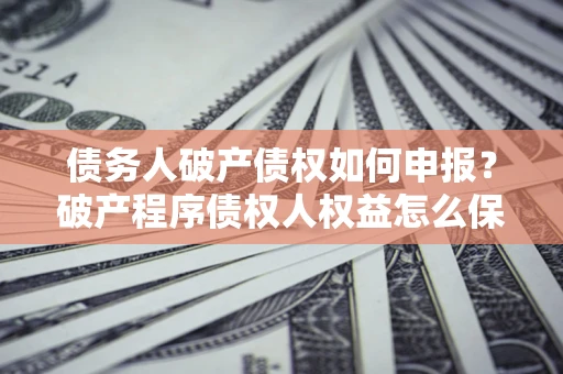 北京债务人破产债权如何申报？破产程序债权人权益怎么保障？