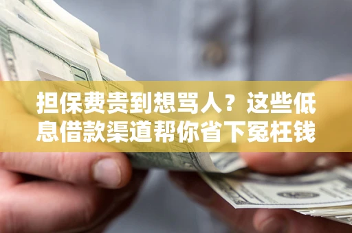 北京担保费贵到想骂人？这些低息借款渠道帮你省下冤枉钱