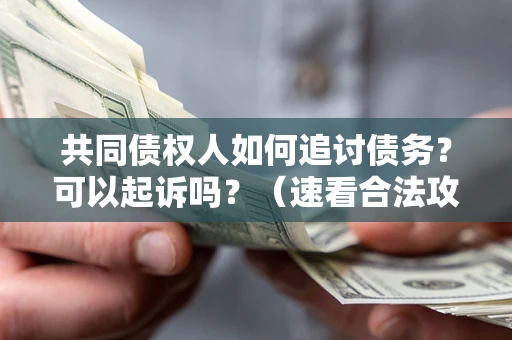 北京共同债权人如何追讨债务？可以起诉吗？（速看合法攻略）